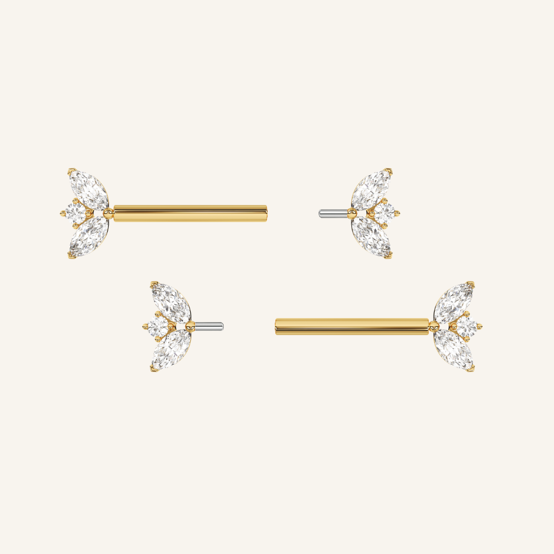 Piercing Tyla
